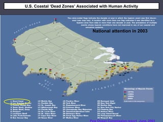 U.S. Coastal ‘Dead Zones’ Associated with Human Activity National attention in 2003 Source:   America’s Oceans: Charting a Course for the Sea Change. Pew Ocean Commission report June, 2003 