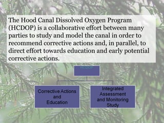 The Hood Canal Dissolved Oxygen Program (HCDOP) is a collaborative effort between many parties to study and model the canal in order to recommend corrective actions and, in parallel, to direct effort towards education and early potential corrective actions. 