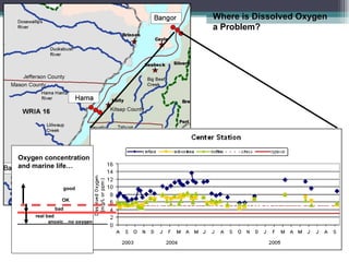 Where is Dissolved Oxygen a Problem?  Oxygen concentration and marine life…   bad real   bad good OK anoxic…no oxygen 