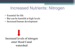 Increased Nutrients: Nitrogen Essential for life But can be harmful at high levels Increased human development Increased levels of nitrogen enter Hood Canal watershed                            
