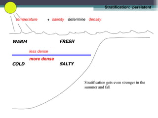 WARM COLD temperature salinity determine   density FRESH SALTY + less dense more dense Stratification:  persistent   Stratification gets even stronger in the summer and fall 