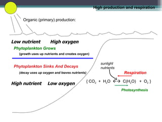 Low nutrient   High oxygen High nutrient   Low oxygen Organic (primary) production: Phytoplankton Sinks And Decays   (decay uses up oxygen and leaves nutrients) { CO 2   +  H 2 O     C(H 2 O)  +  O 2  } sunlight nutrients Respiration Photosynthesis High production and respiration Phytoplankton Grows (growth uses up nutrients and creates oxygen) 