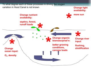* * * * * Change ocean input: O 2 , density Change river input: flushing, stratification Change light availability: more sun Change organic biomass/prod’n: better growing conditions, carcass loads Change nutrient availability: septics, forest, runoff loads To what degree each of these processes is driving the oxygen variation in Hood Canal is not known   
