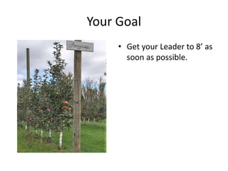 Your Goal
• Get your Leader to 8’ as
soon as possible.
 