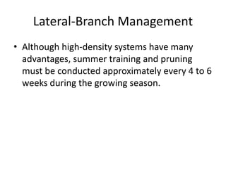 Lateral-Branch Management
• Although high-density systems have many
advantages, summer training and pruning
must be conduc...