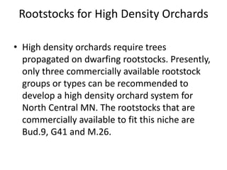 Rootstocks for High Density Orchards
• High density orchards require trees
propagated on dwarfing rootstocks. Presently,
only three commercially available rootstock
groups or types can be recommended to
develop a high density orchard system for
North Central MN. The rootstocks that are
commercially available to fit this niche are
Bud.9, G41 and M.26.
 