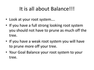 It is all about Balance!!!
• Look at your root system….
• If you have a full strong looking root system
you should not hav...