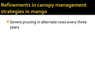  Severe pruning in alternate rows every three
years
 