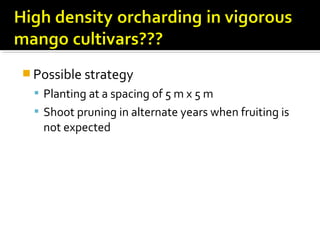  Possible strategy
 Planting at a spacing of 5 m x 5 m
 Shoot pruning in alternate years when fruiting is
not expected
 