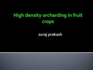 High density orcharding in fruit
crops
 
