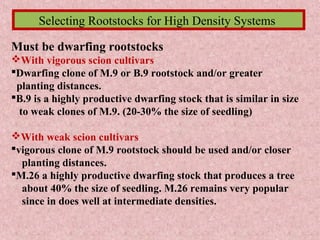 Selecting Rootstocks for High Density Systems
Must be dwarfing rootstocks
With vigorous scion cultivars
Dwarfing clone of M.9 or B.9 rootstock and/or greater
planting distances.
B.9 is a highly productive dwarfing stock that is similar in size
to weak clones of M.9. (20-30% the size of seedling)
With weak scion cultivars
vigorous clone of M.9 rootstock should be used and/or closer
planting distances.
M.26 a highly productive dwarfing stock that produces a tree
about 40% the size of seedling. M.26 remains very popular
since in does well at intermediate densities.
 