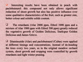  Interesting results have been obtained in peach withInteresting results have been obtained in peach with
paclobutrazol: this compound not only allows significantpaclobutrazol: this compound not only allows significant
reduction of shoot growth but also has positive influence overreduction of shoot growth but also has positive influence over
some qualitative characteristics of the fruit, such as greater size,some qualitative characteristics of the fruit, such as greater size,
better colour and soluble solids content.better colour and soluble solids content.
 The retardants (Alar 2000 ppm, Ethrel 1000 ppm and aThe retardants (Alar 2000 ppm, Ethrel 1000 ppm and a
mixture of Alar 1000 ppm with Ethrel 500 ppm) greatly reducedmixture of Alar 1000 ppm with Ethrel 500 ppm) greatly reduced
the vegetative growth of Golden Delicious, Starkspur Goldenthe vegetative growth of Golden Delicious, Starkspur Golden
Delicious and James Grieve.Delicious and James Grieve.
 Diaminozide (Alar) and paclobutrazol (Cultar) were appliedDiaminozide (Alar) and paclobutrazol (Cultar) were applied
at different timings and concentrations. Instead of de-headingat different timings and concentrations. Instead of de-heading
the trees every two years, as in the original meadow orchardthe trees every two years, as in the original meadow orchard
system, shoot growth and cropping were controlled by growthsystem, shoot growth and cropping were controlled by growth
retardants and light winter pruning.retardants and light winter pruning.
 