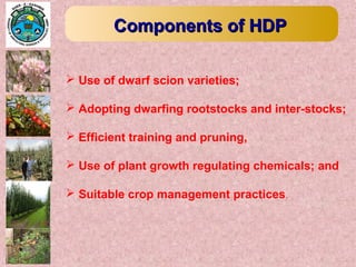  Use of dwarf scion varieties;
 Adopting dwarfing rootstocks and inter-stocks;
 Efficient training and pruning,
 Use of plant growth regulating chemicals; and
 Suitable crop management practices.
Components of HDPComponents of HDP
 