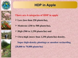 HDP in AppleHDP in Apple
There are 4 categories of HDP in apple
 Low (less than 250 plants/ha),
 Moderate (250 to 500 plants/ha),
 High (500 to 1,250 plants/ha) and
 Ultra-high (more than 1,250 plants/ha) density.
Super high-density plantings or meadow orcharding
(20,000 to 70,000 plants/ha)
 