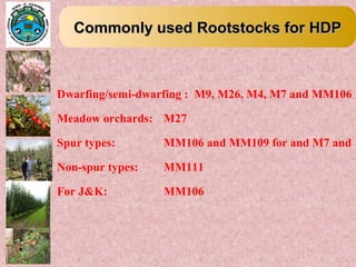 Commonly used Rootstocks for HDPCommonly used Rootstocks for HDP
Dwarfing/semi-dwarfing : M9, M26, M4, M7 and MM106
Meadow orchards: M27
Spur types: MM106 and MM109 for and M7 and
Non-spur types: MM111
For J&K: MM106
 