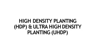 HIGH DENSITY PLANTING
(HDP) & ULTRA HIGHDENSITY
PLANTING (UHDP)
 