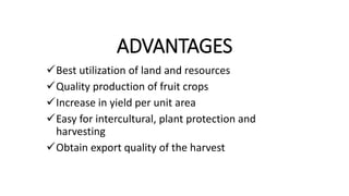 ADVANTAGES
Best utilization of land and resources
Quality production of fruit crops
Increase in yield per unit area
Easy for intercultural, plant protection and
harvesting
Obtain export quality of the harvest
 