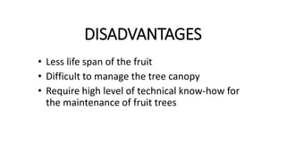 DISADVANTAGES
• Less life span of the fruit
• Difficult to manage the tree canopy
• Require high level of technical know-how for
the maintenance of fruit trees
 