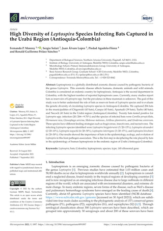 High Diversity of Leptospira Species Infecting Bats Captured in the Urabá Region (Antioquia-Colombia) _ Enhanced Reader.pdf