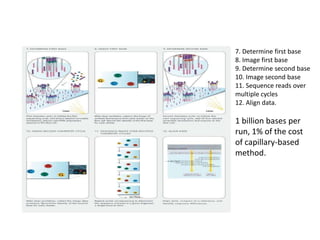 7. Determine first base
8. Image first base
9. Determine second base
10. Image second base
11. Sequence reads over
multiple cycles
12. Align data.
1 billion bases per
run, 1% of the cost
of capillary-based
method.
 