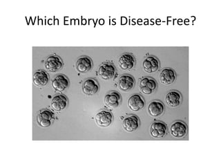 Which Embryo is Disease-Free?
 