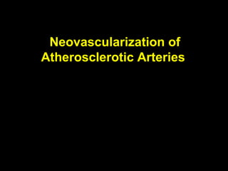 Neovascularization of
Atherosclerotic Arteries
 