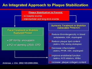 High dose statins in plaque stabilization 