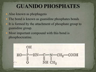  Also known as phophagens
 The bond is known as guanidine phosphates bonds
 It is formed by the attachment of phosphate group to
guanidine group.
 Most important compound with this bond is
phosphocreatine.
 