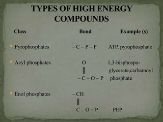 Class Bond Example (s)
 Pyrophosphates – C – P – P ATP, pyrophosphate
 Acyl phosphates O 1,3-bisphospo-
║ glycerate,carbamoyl
– C – O ~ P phosphate
 Enol phosphates – CH
║
– C – O ~ P PEP
 