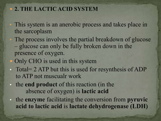  2. THE LACTIC ACID SYSTEM
• This system is an anerobic process and takes place in
the sarcoplasm
• The process involves the partial breakdown of glucose
– glucose can only be fully broken down in the
presence of oxygen.
 Only CHO is used in this system
• Total= 2 ATP but this is used for resynthesis of ADP
to ATP not muscualr work
• the end product of this reaction (in the
absence of oxygen) is lactic acid
• the enzyme facilitating the conversion from pyruvic
acid to lactic acid is lactate dehydrogenase (LDH)
 