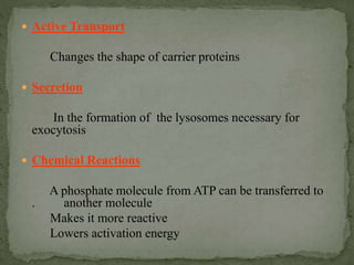  Active Transport
Changes the shape of carrier proteins
 Secretion
In the formation of the lysosomes necessary for
exocytosis
 Chemical Reactions
A phosphate molecule from ATP can be transferred to
. another molecule
Makes it more reactive
Lowers activation energy
 