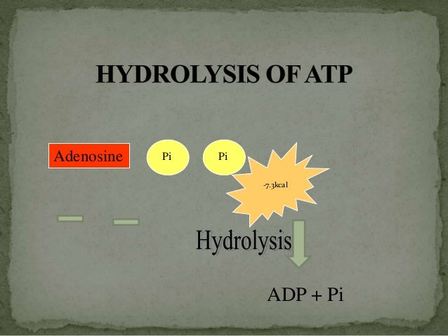 high energy compounds select the highest energy form of adenosine from the following images