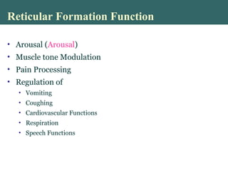 Reticular Formation Function
• Arousal (Arousal)
• Muscle tone Modulation
• Pain Processing
• Regulation of
• Vomiting
• Coughing
• Cardiovascular Functions
• Respiration
• Speech Functions
 