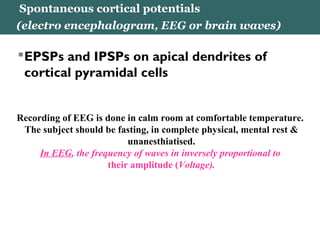 Spontaneous cortical potentials
(electro encephalogram, EEG or brain waves)
EPSPs and IPSPs on apical dendrites of
cortical pyramidal cells
Recording of EEG is done in calm room at comfortable temperature.
The subject should be fasting, in complete physical, mental rest &
unanesthiatised.
In EEG, the frequency of waves in inversely proportional to
their amplitude (Voltage).
 