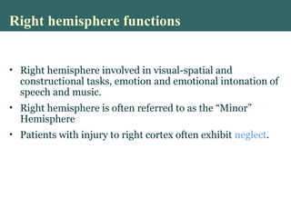 Right hemisphere functions
• Right hemisphere involved in visual-spatial and
constructional tasks, emotion and emotional intonation of
speech and music.
• Right hemisphere is often referred to as the “Minor”
Hemisphere
• Patients with injury to right cortex often exhibit neglect.
 