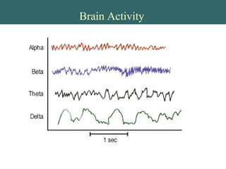 Brain Activity
 