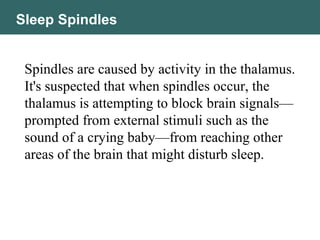 Sleep Spindles
Spindles are caused by activity in the thalamus.
It's suspected that when spindles occur, the
thalamus is attempting to block brain signals—
prompted from external stimuli such as the
sound of a crying baby—from reaching other
areas of the brain that might disturb sleep.
 