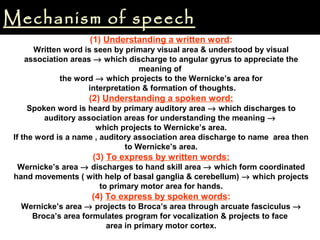 Mechanism of speech
(1) Understanding a written word:
Written word is seen by primary visual area & understood by visual
association areas → which discharge to angular gyrus to appreciate the
meaning of
the word → which projects to the Wernicke’s area for
interpretation & formation of thoughts.
(2) Understanding a spoken word:
Spoken word is heard by primary auditory area → which discharges to
auditory association areas for understanding the meaning →
which projects to Wernicke’s area.
If the word is a name , auditory association area discharge to name area then
to Wernicke’s area.
(3) To express by written words:
Wernicke’s area → discharges to hand skill area → which form coordinated
hand movements ( with help of basal ganglia & cerebellum) → which projects
to primary motor area for hands.
(4) To express by spoken words:
Wernicke’s area → projects to Broca’s area through arcuate fasciculus →
Broca’s area formulates program for vocalization & projects to face
area in primary motor cortex.
 