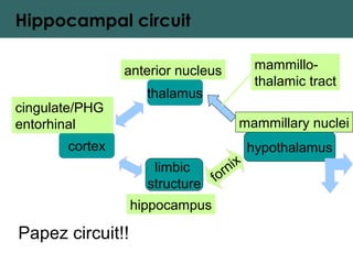 Hippocampal circuit
cortex
limbic
structure
hypothalamus
thalamus
mammillary nuclei
hippocampus
anterior nucleus
cingulate/PHG
entorhinal
fornix
Papez circuit!!
mammillo-
thalamic tract
 