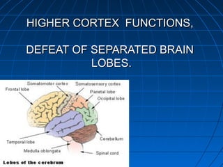HIGHER CORTEX FUNCTIONS,HIGHER CORTEX FUNCTIONS,
DEFEAT OF SEPARATED BRAINDEFEAT OF SEPARATED BRAIN
LOBES.LOBES.
 