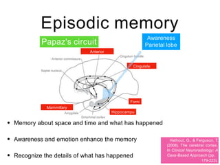 Episodic memory
Hathout, G., & Ferguson, T.
(2008). The cerebral cortex.
In Clinical Neuroradiology: A
Case-Based Approach (pp.
179-223).
Anterior
Cingulate
Hippocampu
Forni
Mammillary
Papaz's circuit
Awareness
Parietal lobe
•
•
•
Memory about space and time and what has happened
Awareness and emotion enhance the memory
Recognize the details of what has happened
 