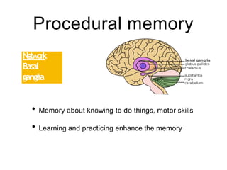 Procedural memory
Ne
two
rk
Basal
ganglia
Cerebellum
• Memory about knowing to do things, motor skills
• Learning and practicing enhance the memory
 