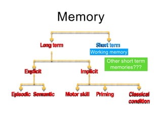 Memory
Longterm Shortterm
Explicit Implicit
Episodic Semantic Motorskill Classical
condition
Priming
Working memory
Other short term
memories???
 