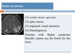 Balint Syndrome
(1) ocular motor apraxia, .
(2) optic ataxia.
(3) impaired visual attention.
(4) Simultagnosia
Patients with Balint syndrome
literally cannot see the forest for the
trees.
 