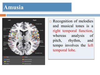Amusia
 Recognition of melodies
and musical tones is a
right temporal function,
whereas analysis of
pitch, rhythm, and
tempo involves the left
temporal lobe.
 