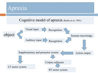 Cognitive model of apraxia (Rothi et al, 1991)
Apraxia
object
Visual input
Auditory input
Recognition
Recognition
Sematic knowledge
Action outputSupplementary and premotor system
RT motor system
LT motor system
Corpus callosum
 