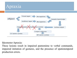 Apraxia
Ideomotor Apraxia:
These lesions result in impaired pantomime to verbal commands,
impaired imitation of gestures, and the presence of spatiotemporal
production errors.
 