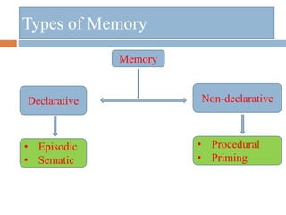 Types of Memory
Memory
Declarative Non-declarative
• Episodic
• Sematic
• Procedural
• Priming
 
