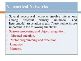 Neocortical Networks
 Several neocortical networks involve interactions
among different primary, unimodal, and
heteromodal association areas. These networks are
important in the following functions:
 Sensory processing and object recognition.
 Directed attention.
 Motor programming and execution.
 Language .
 Memory.
 