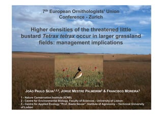 7th European Ornithologists' Union
                        Conference - Zurich

   Higher densities of the threatened little
     g e de s t es o t e t eate ed tt e
bustard Tetrax tetrax occur in larger grassland
      fields: management implications
                    g         p




   JOÃO PAULO SILVA1,2,3, JORGE MESTRE PALMEIRIM2 & FRANCISCO MOREIRA3
1-N t
    Nature C
           Conservation I tit t (ICNB)
                     ti Institute
2 - Centre for Environmental Biology, Faculty of Sciences - University of Lisbon
3 - Centre for Applied Ecology "Prof. Baeta Neves", Institute of Agronomy – Technical University
of Lisbon
 
